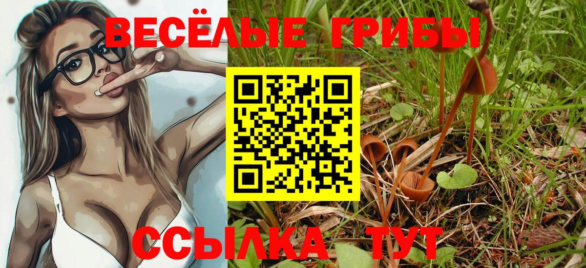 Псилоцибиновые грибы ЛСД  Вход с VPN  Псилоцибиновые грибы мухоморы  Качканар 